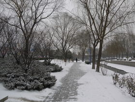 初雪降临，见证冬日浪漫瞬间