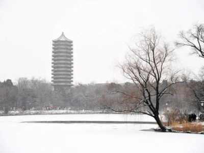 北京初雪故宫一步三个格格