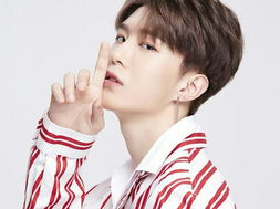 范丞丞揭秘：黄景瑜出道前竟是体制内精英