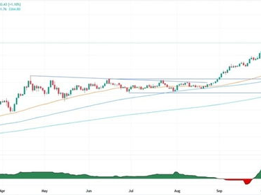 特朗普关税合法性被质疑意味什么