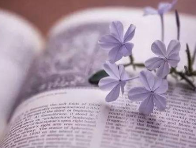 绽放生命力：探索可爱人生的无限可能