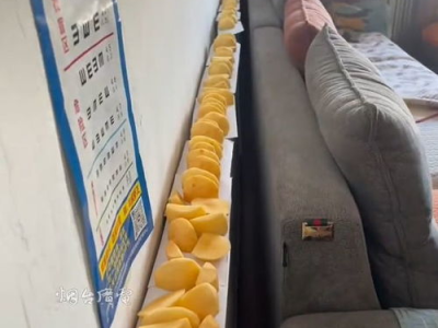 暖意盈门：奶奶的暖气片烤苹果干秘制美味