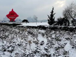 青岛罕见飘雪，冬日浪漫邂逅海滨之城
